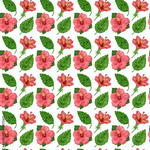 illustration of a seamless pattern of hibiscus plants flowers and leaves of a plant on a background