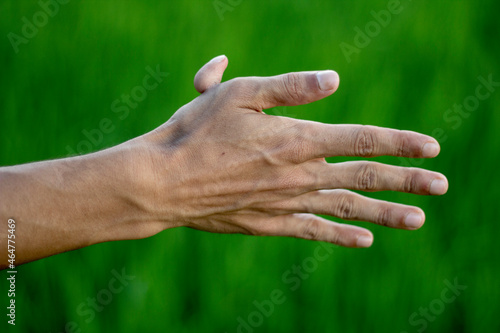 A human hand and has a total of six fingers, five common and one small, and blurring the background behind it © Rokonuzzamnan