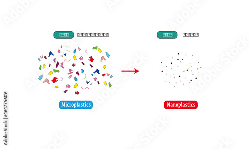 Microplastics and Nanoplastics 