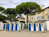 Pinien und Kabinen am Strand von Grado, Italien