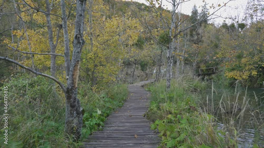 a walk in the Plitvice lakes national park a walk in the Plitvice lakes national park