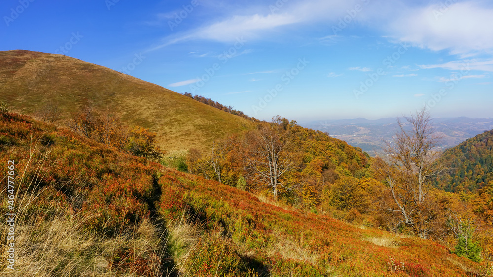 Mountain meadows in autumn. Vegetation has acquired autumn colors that contrast with the blue sky Mountain meadows in autumn. Vegetation has acquired autumn colors that contrast with the blue sky