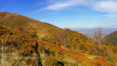 Mountain meadows in autumn. Vegetation has acquired autumn colors that contrast with the blue sky © Rejdan