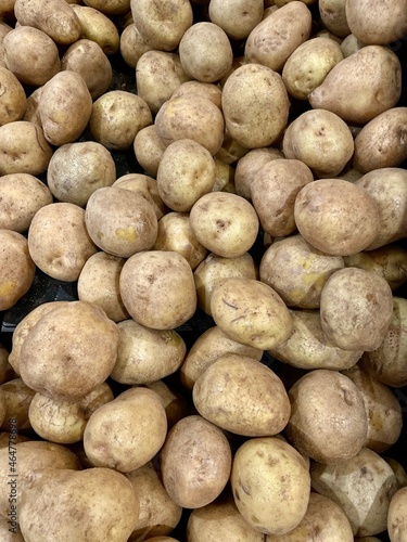 Potato (Solanum tuberosum) is a plant from the Solanaceae tribe that has edible stem tubers and is called 