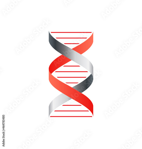 dna strand double helix segment