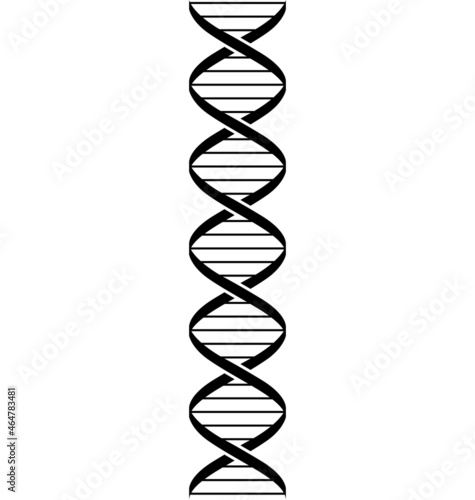 simple stylized dna strand double helix