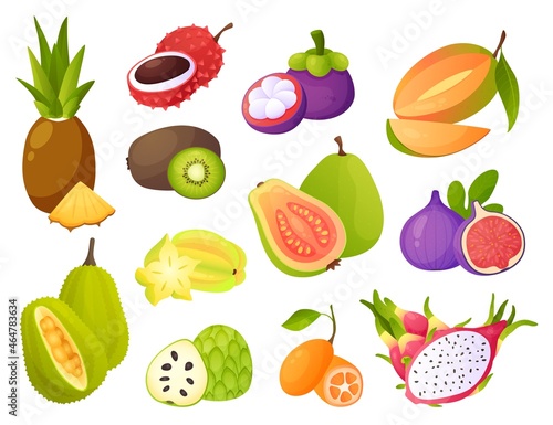 Exotic fruits. Juicy pineapple and mango, tropical guava and tasty fig, mangosteen and carambola, cartoon jackfruit and organic cherimoya, raw papaya fresh vitamin natural food. Vector set