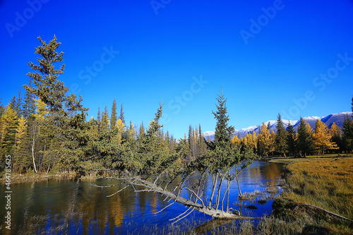 Fototapeta Naklejka Na Ścianę i Meble -  Altai mountain landscape, panorama autumn landscape background, fall nature view
