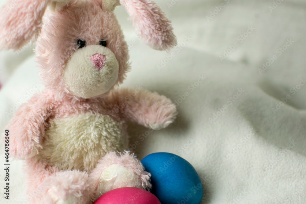 Easter pink bunny with blue eggs. Easter concept.