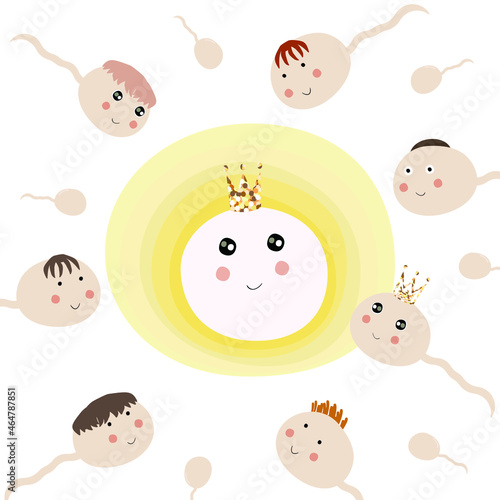 Sperm flowing towards the egg. Queen the egg and king of the sperm. Sex education.