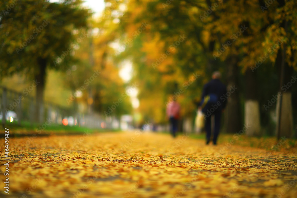 sunny landscape in fall park, autumn season background orange park