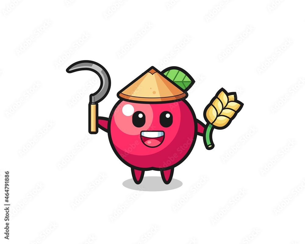 apple Asian farmer holding paddy apple Asian farmer holding paddy