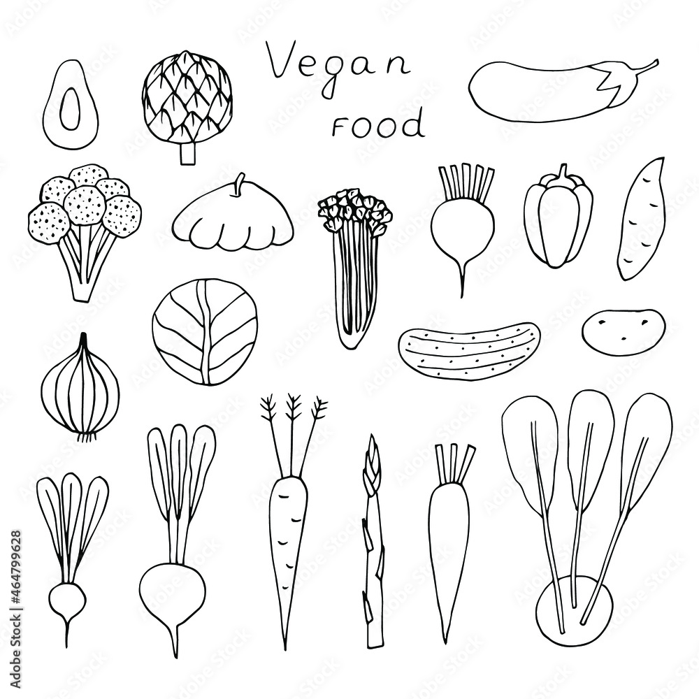 Vegan food vegetables set vector illustration, hand drawing doodles Vegan food vegetables set vector illustration, hand drawing doodles