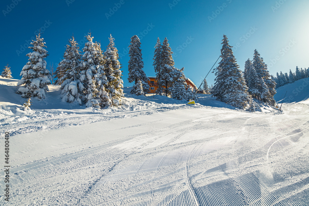 Obraz premium Fabulous place with wooden chalet in the snowy forest, Romania