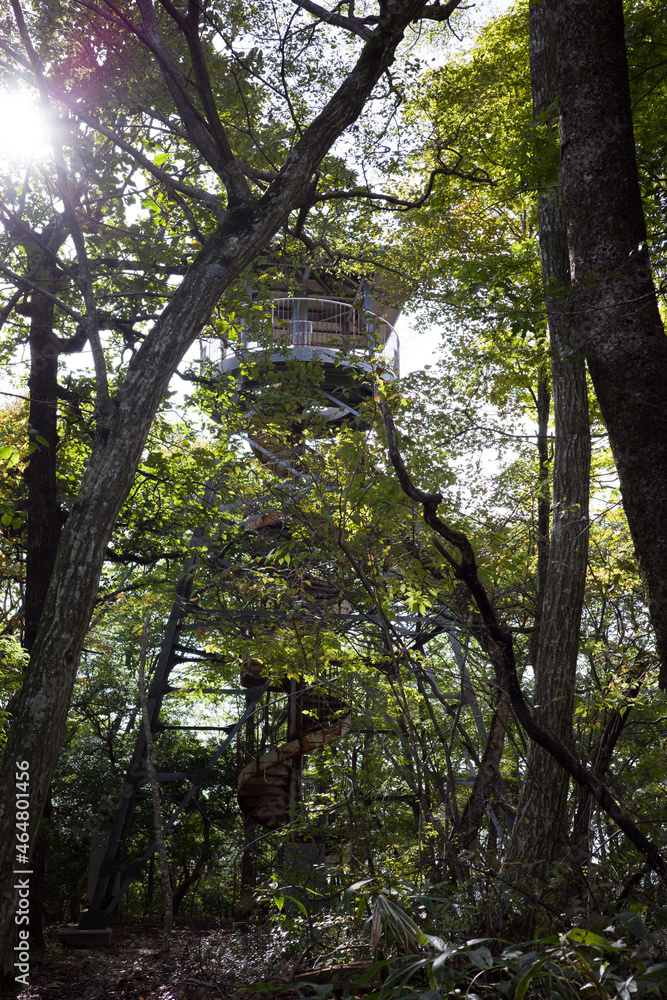 Obraz premium 日本の岡山県新見市の荒戸山の美しい風景