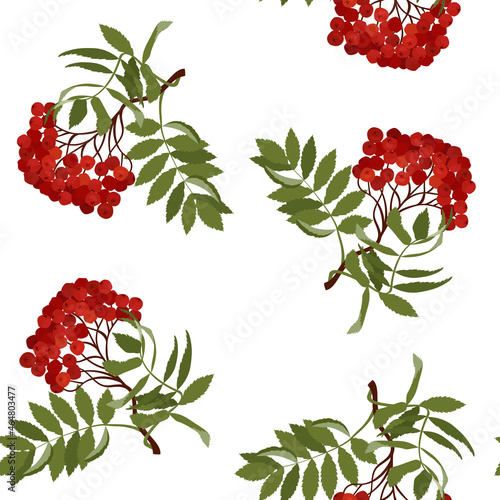 Seamless vector illustration with rowan branches on a white background.