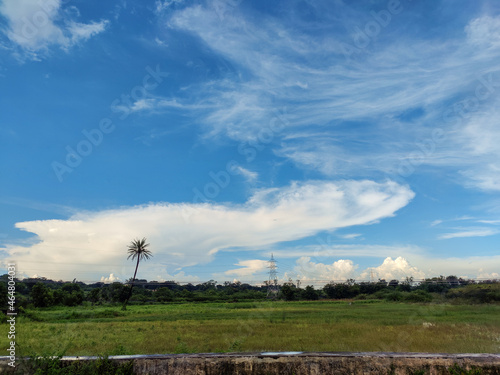 Stock photo of a Landscape with white clouds floating on blue sky and land covering with green grass. Iron light pole and coconut trees installed in the green grass field during rainy season in India