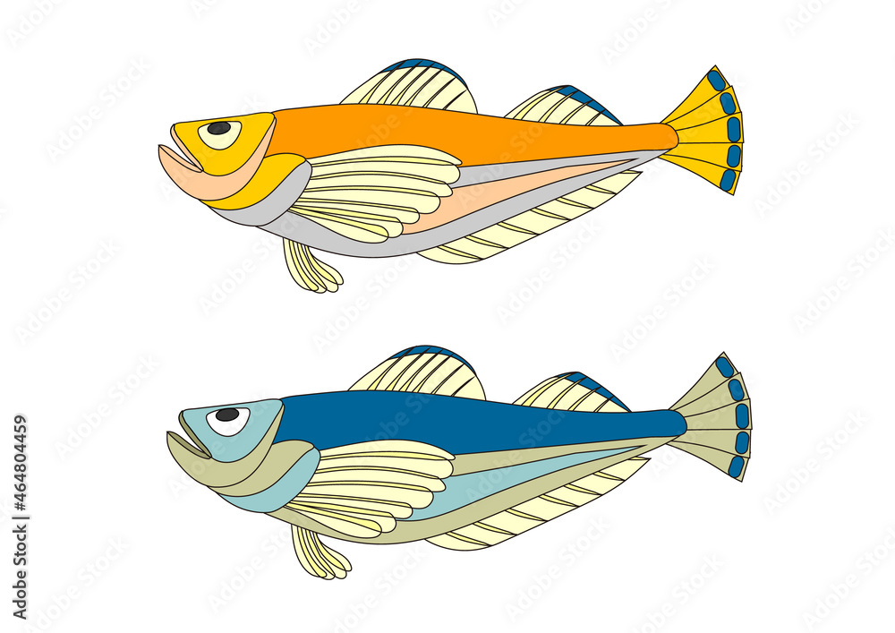 ハタハタのイラストセット Stock Vector | Adobe Stock