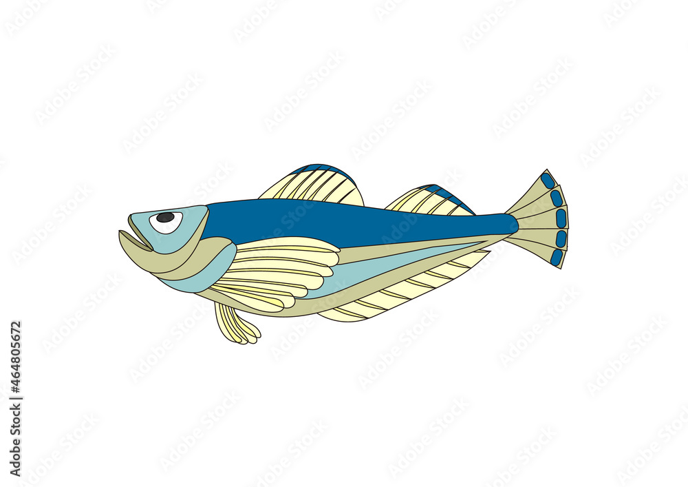 ハタハタのイラスト(ブルー) Illustration Stock | Adobe Stock