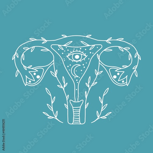 Vector drawing of a female uterus