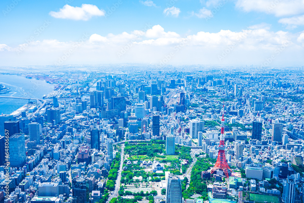 Fototapeta premium 東京都心部 空撮写真