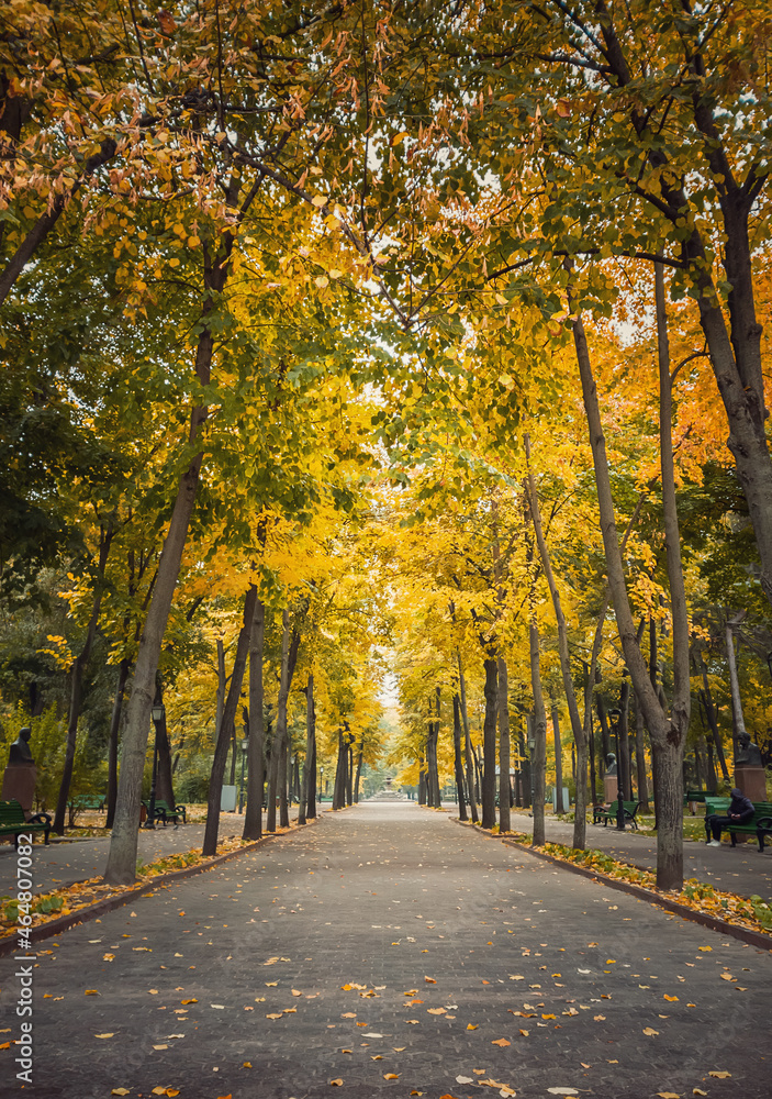 Autumn season morning in the empty city park. Beautiful view and silence, colorful leaves fallen on the ground and trails of Stephen III The Great square in Chisinau, Moldova
