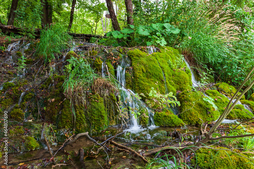 Streams and waterfalls in Plitvice Lakes National Park in Croatia