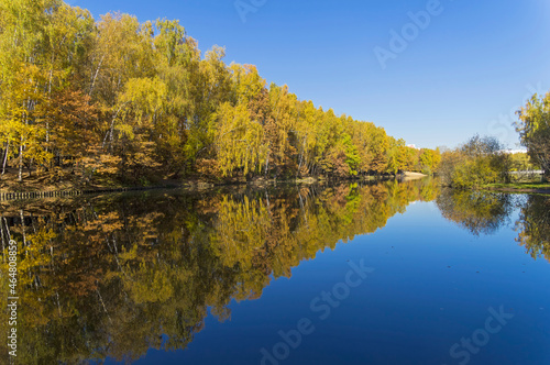 Beautiful mirror reflection of the coastal autumn forest in the pond.