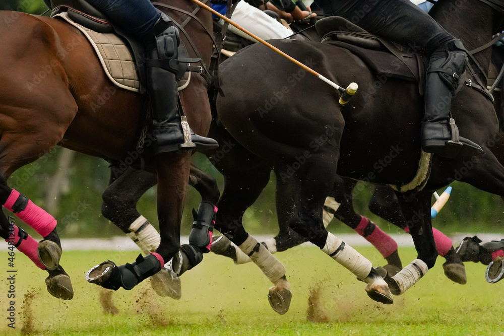 horse gallop during polo game horse gallop during polo game