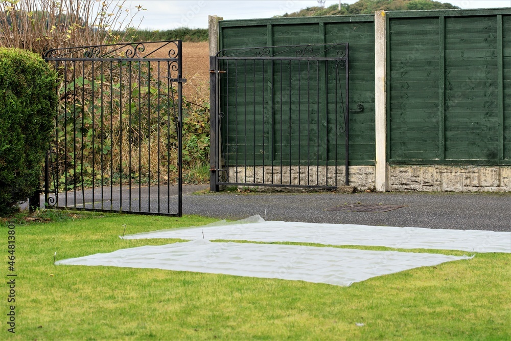 Using fleece netting to protect the lawn from wildlife, hunting for chaffer grubbs. Using fleece netting to protect the lawn from wildlife, hunting for chaffer grubbs.