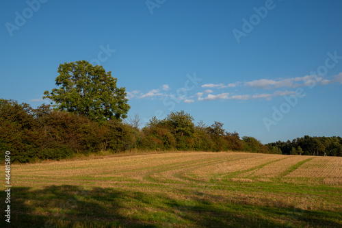 Landschaft im Herbst