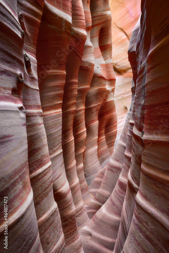 The Narrow Sandstone Walls in Zebra Slot Canyon, Grand Staircase-Escalante National Monument, Utah photo