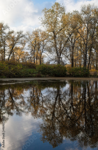 Water landscape in autumn