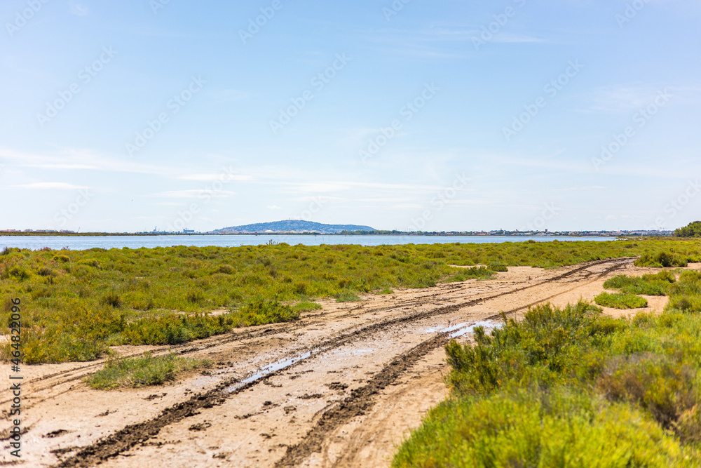 Chemin de randonnée du Bois des Aresquiers (Occitanie, France)