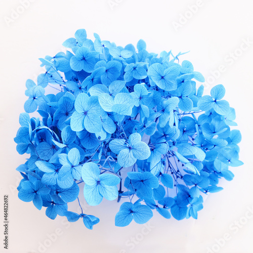 Creative image of pastel blue Hydrangea flowers on white background. Top view