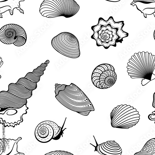 Vector seamless pattern of detailed, realistic, various outline sea shells, in black color, on white background