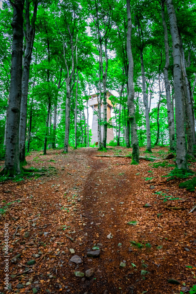 Obraz premium HIking around Dragon Lake in the Bavarian Forests