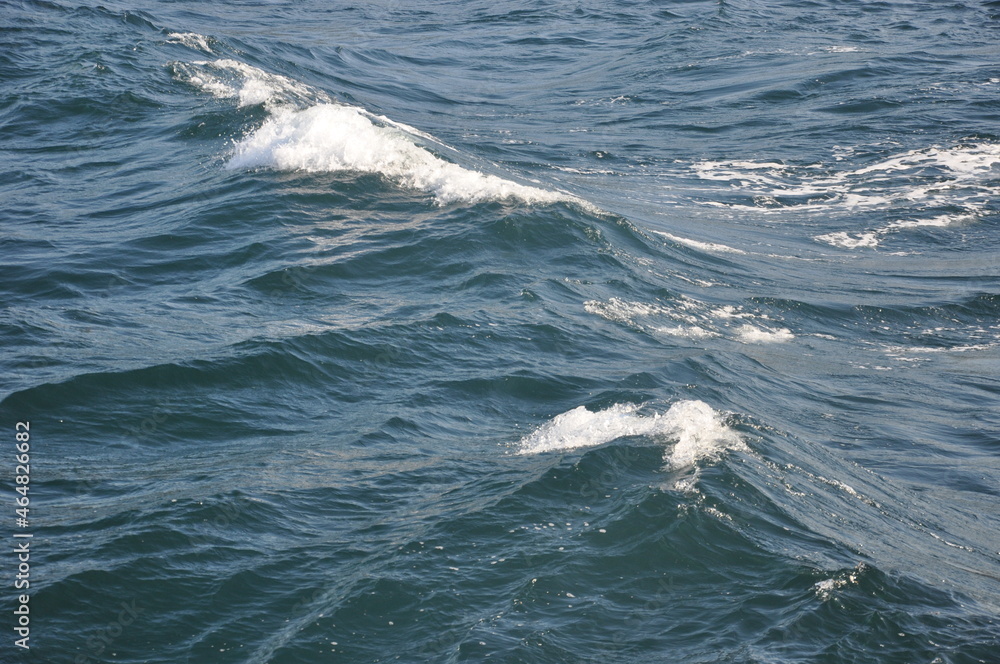 Fototapeta premium wave of the sea