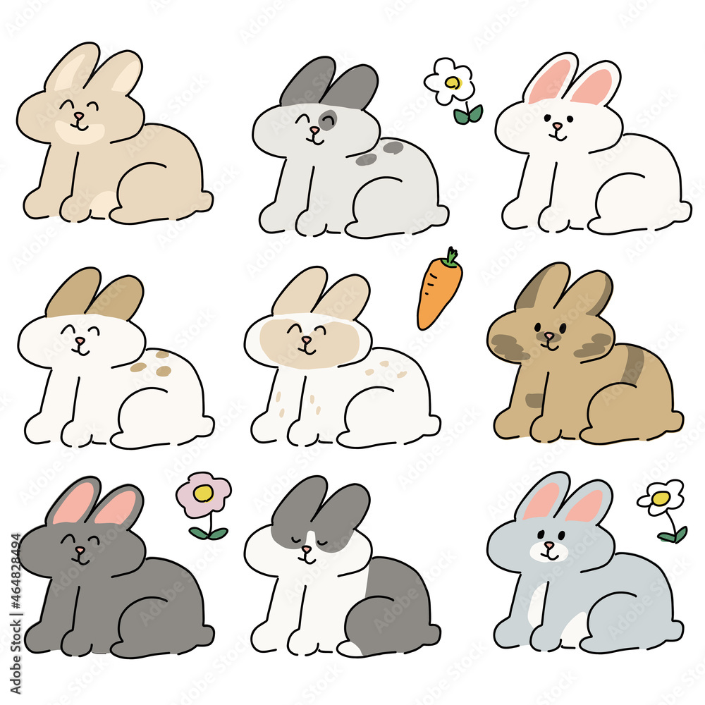 Fototapeta premium うさぎ