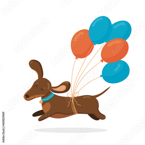 Cute dachshund run in love mood with air balloons isolated on white background. Vector illustration. Birthday greeting day card element
