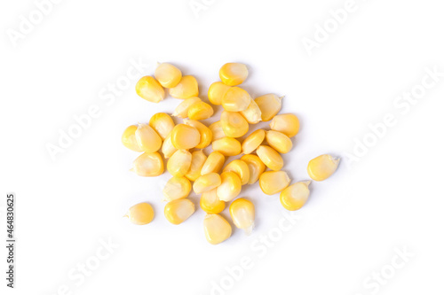 Corn seed on white