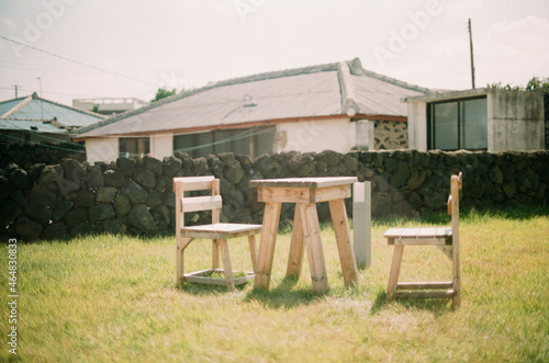 garden and chair