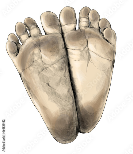 small children's feet foot forward stained dirty footprints, sketch vector Graphics color illustration on white background