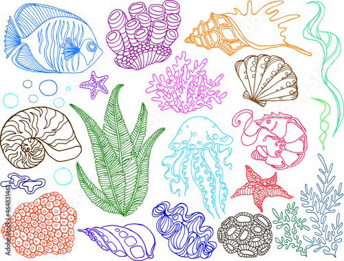 Vector marine clipart. Networks of linear images: Corals, fish, starfish, Shells, Shrimp, Algae, jellyfish