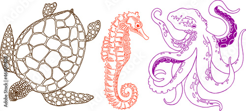 Sea animals. Turtle, seahorse, octopus