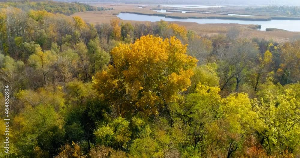 Scenic aerial view of autumn yellow-red forest on the river bank Scenic aerial view of autumn yellow-red forest on the river bank