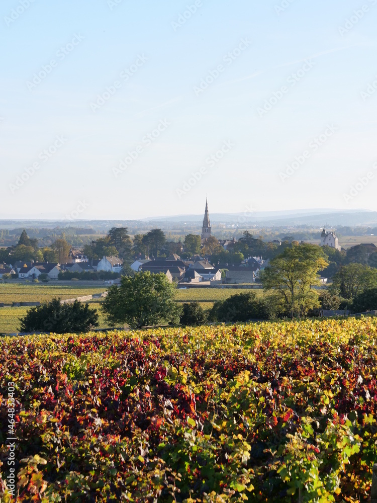 The small village of Meursault during autumn. The 19th October 2021, Burgundy region, France.