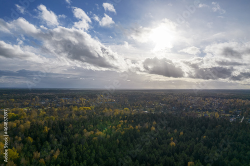 Above aerial shot of green pine forests and yellow foliage groves with beautiful texture of golden treetops. Beautiful fall season scenery. Landscape in autumn colors in bright day time with clouds