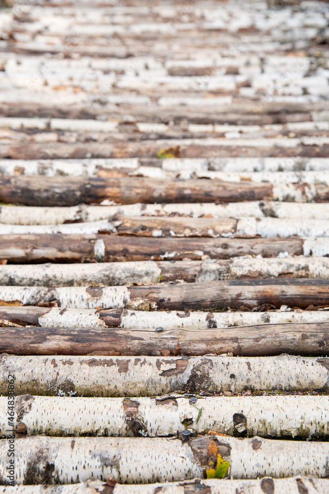 Birch trunks are stacked in a row. Bridge or hedge in a village Birch trunks are stacked in a row. Bridge or hedge in a village