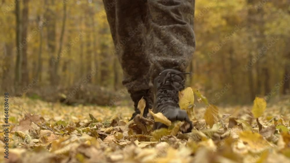 Legs Of A Men Who Walks In The Autumn Woods With Fallen Leaves